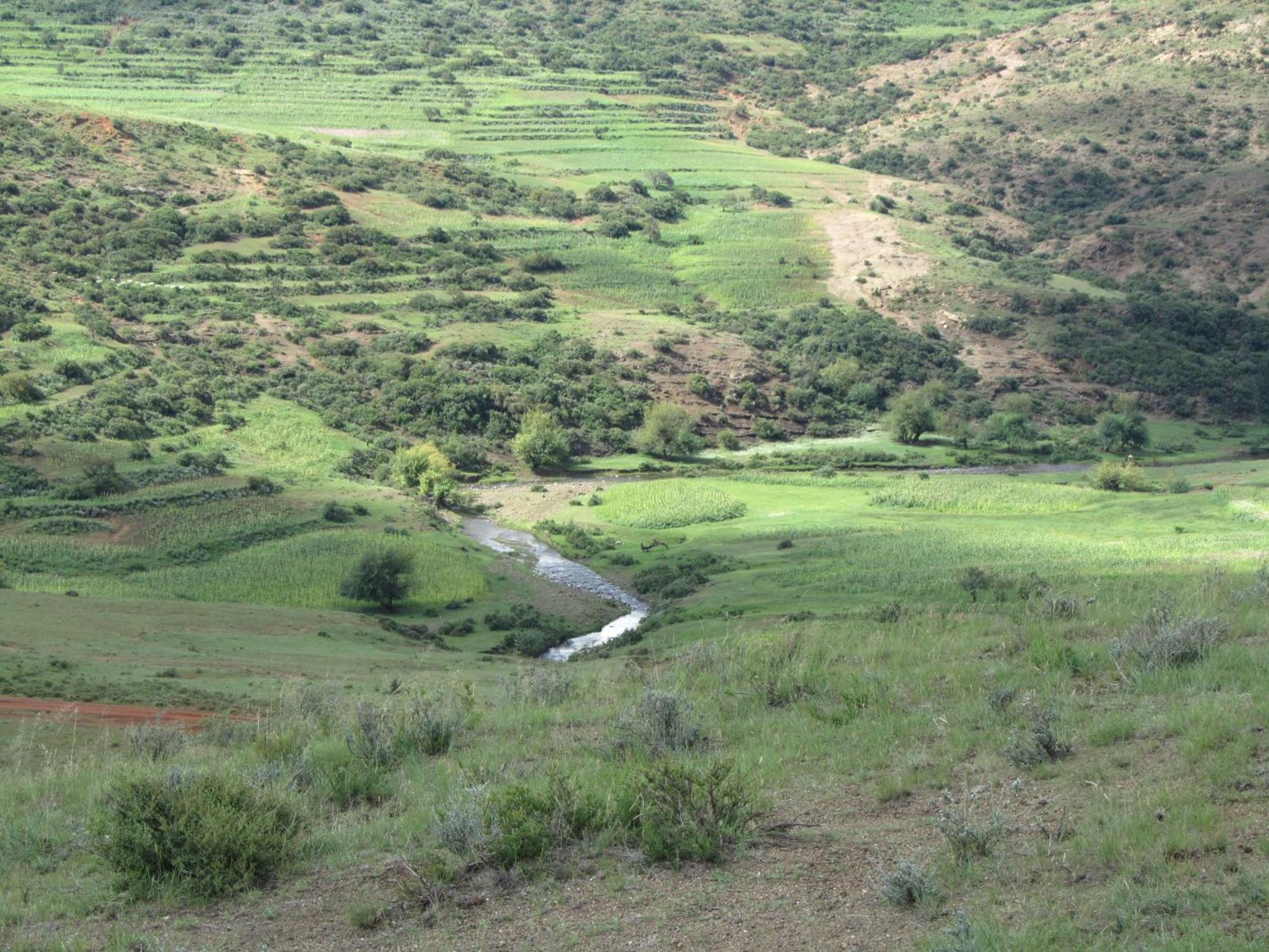 Maluti Stay Lodge Ramabanta ภายนอก รูปภาพ